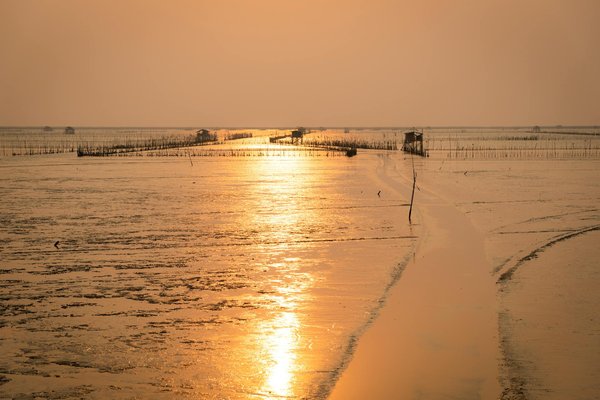 Globe Trotteur De Passion