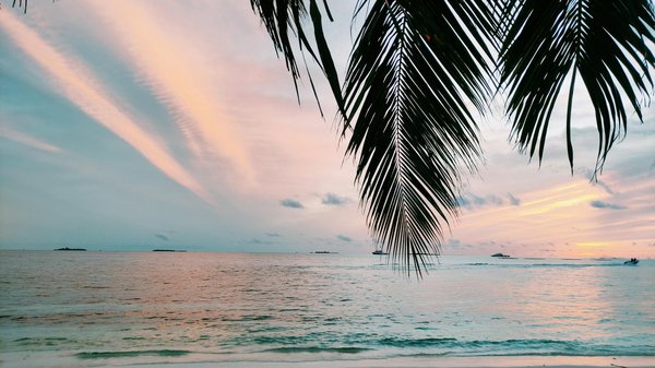 Laser game à levallois-perret : vivez l'aventure immersive aux portes de paris